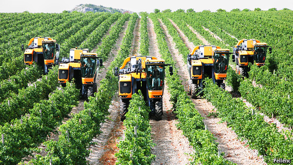 Top Promising Agricultural Companies In Nigeria Marketing Edge Magazine