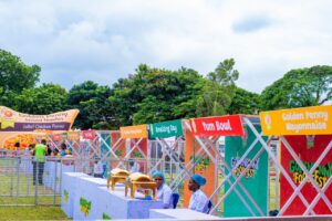 Golden Penny spreads joy in Enugu with grand Food Fest